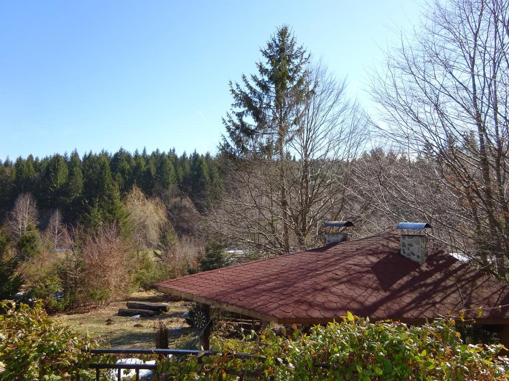 Vila Eden Porumbacu de Sus Eksteriør bilde