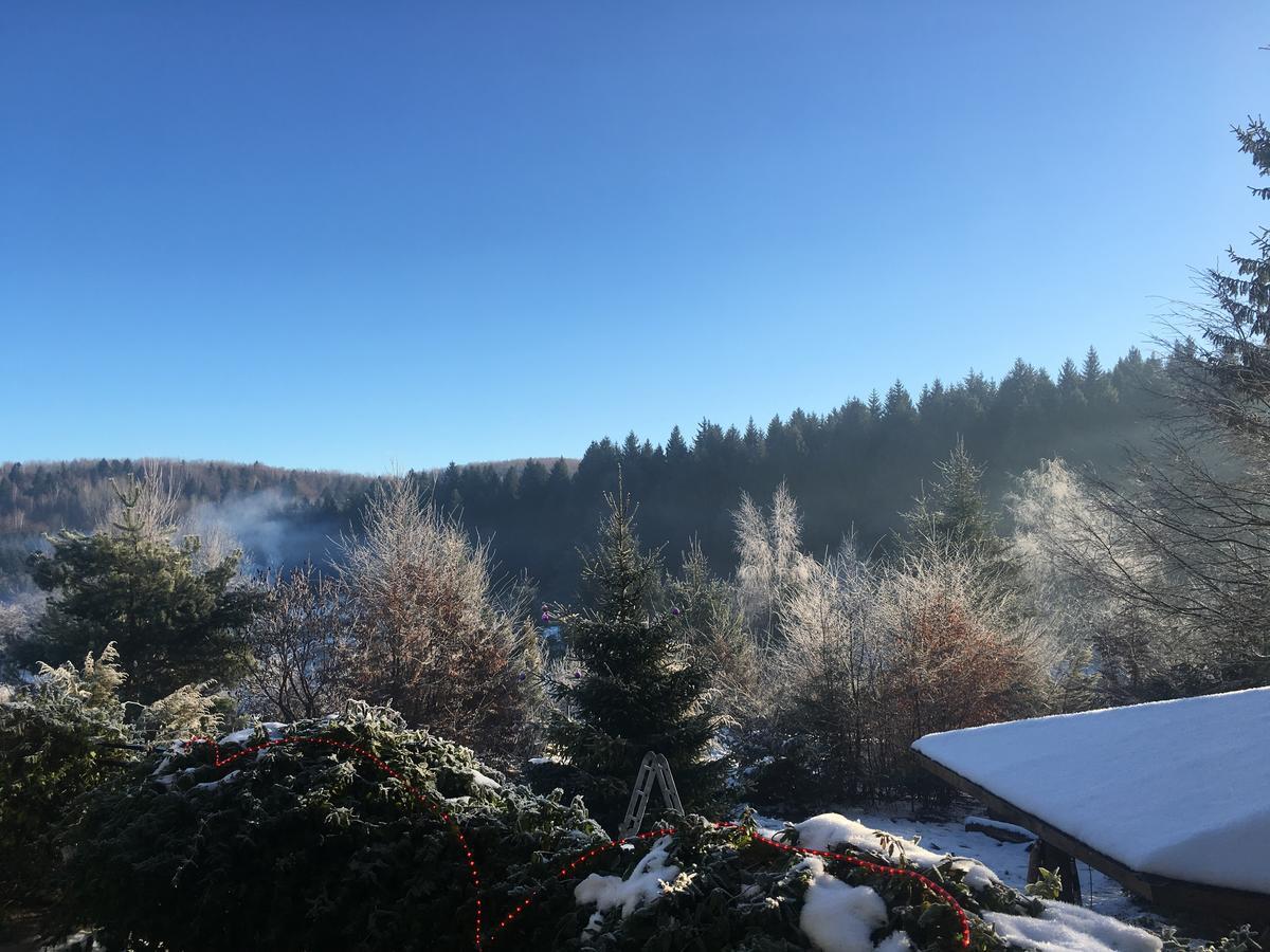 Vila Eden Porumbacu de Sus Eksteriør bilde